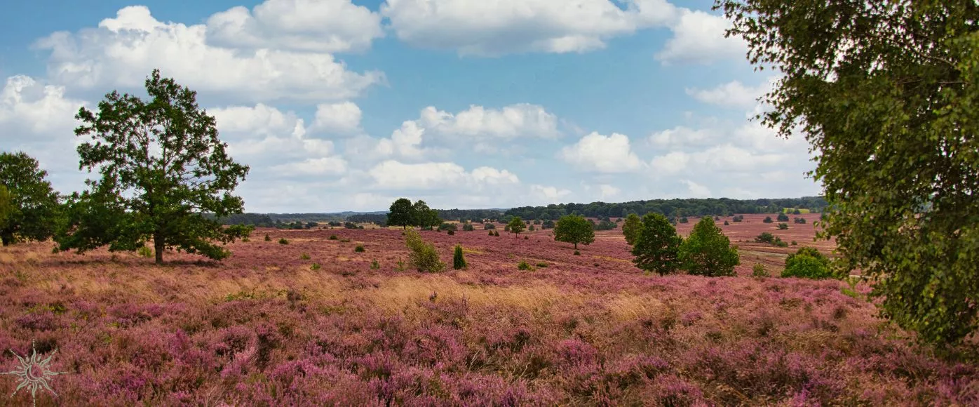 strabrechtse heide