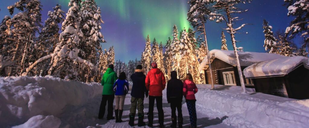 Groep bewondert het noorderlicht boven besneeuwde bomen tijdens een winterreis in Lapland