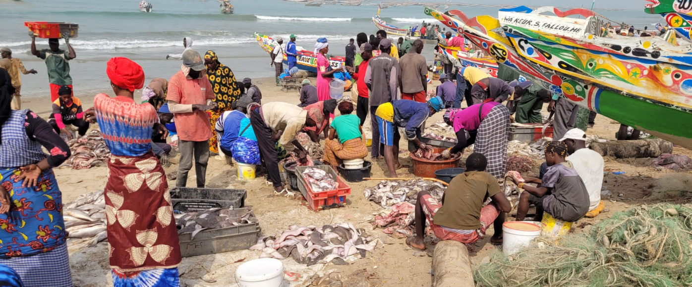 Senegal vissers