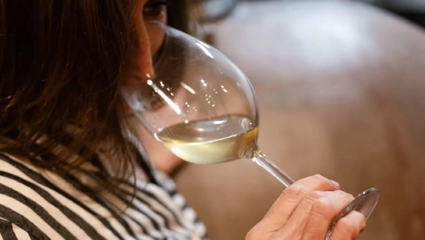 mallorca bewerkt wijn